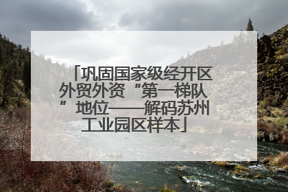 巩固国家级经开区外贸外资“第一梯队”地位——解码苏州工业园区样本