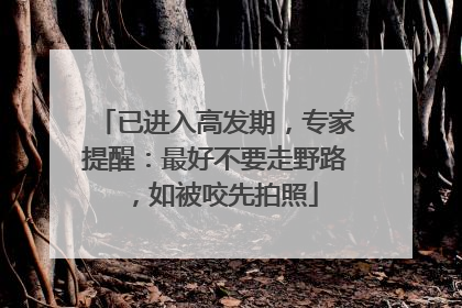 已进入高发期，专家提醒：最好不要走野路，如被咬先拍照
