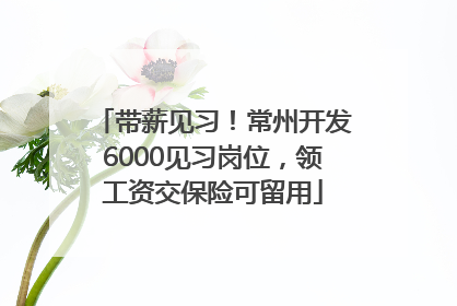 带薪见习！常州开发6000见习岗位，领工资交保险可留用