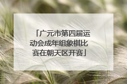 广元市第四届运动会成年组象棋比赛在朝天区开赛