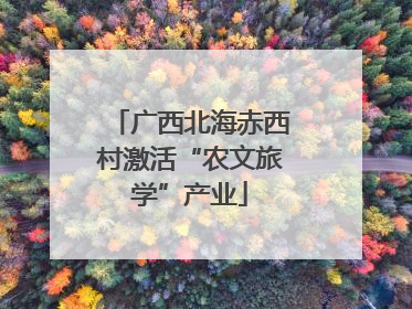 广西北海赤西村激活“农文旅学”产业