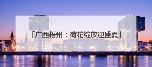 广西梧州：荷花绽放迎盛夏
