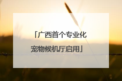 广西首个专业化宠物候机厅启用