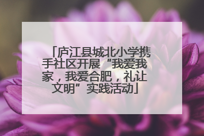 庐江县城北小学携手社区开展“我爱我家，我爱合肥，礼让文明”实践活动