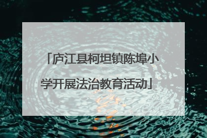 庐江县柯坦镇陈埠小学开展法治教育活动