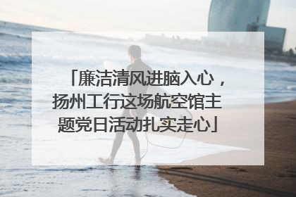 廉洁清风进脑入心，扬州工行这场航空馆主题党日活动扎实走心