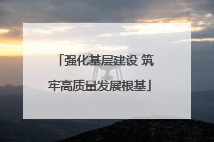 强化基层建设 筑牢高质量发展根基