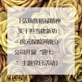 弘扬焦裕禄精神 实干担当建新功—国元保险河南分公司开展“迎七一”主题党日活动