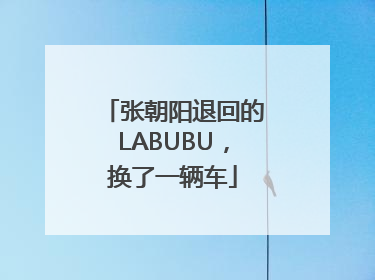 张朝阳退回的LABUBU，换了一辆车
