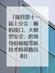 探营第十一届上交会：脑机接口、大模型安全、跨境身份核验等新技术将悉数亮相