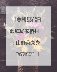 慈利县岩泊渡镇杨家桥村：山野菜变身“致富菜”