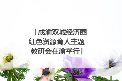 成渝双城经济圈红色资源育人主题教研会在渝举行