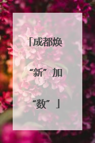 成都焕“新”加“数”