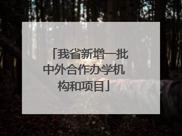 我省新增一批中外合作办学机构和项目