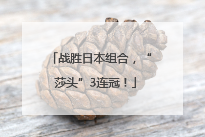 战胜日本组合，“莎头”3连冠！