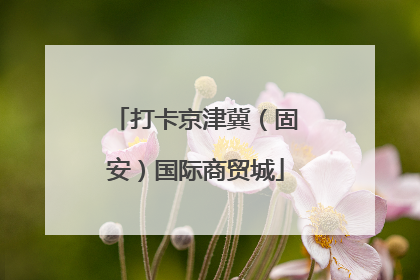 打卡京津冀（固安）国际商贸城