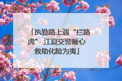 执勤路上遇“拦路虎” 江夏交警暖心救助化险为夷