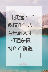 抚远：“政校企”共育电商人才 打通东极特色产销链