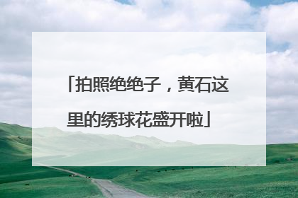 拍照绝绝子，黄石这里的绣球花盛开啦