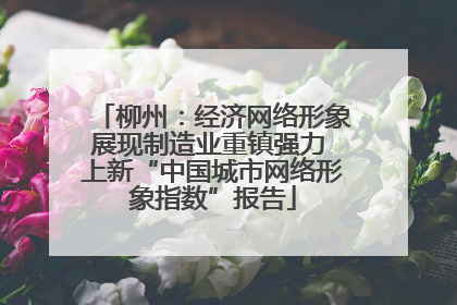 柳州：经济网络形象展现制造业重镇强力 上新“中国城市网络形象指数”报告