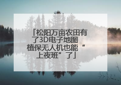 松阳万亩农田有了3D电子地图 植保无人机也能“上夜班”了