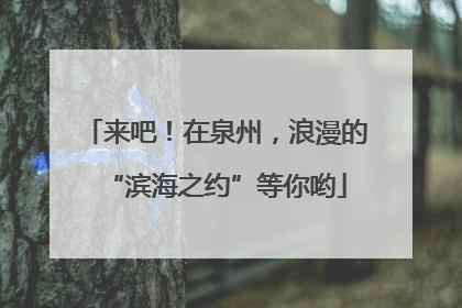 来吧！在泉州，浪漫的“滨海之约”等你哟