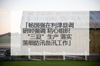 杨国强在利津县调研时强调 精心组织“三夏”生产 落实落细防汛备汛工作