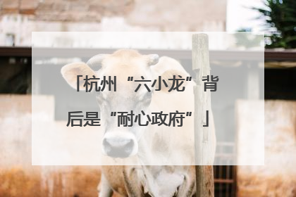 杭州“六小龙”背后是“耐心政府”