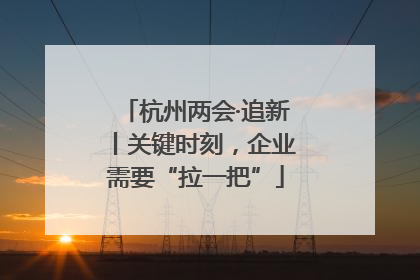 杭州两会·追新丨关键时刻，企业需要“拉一把”
