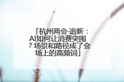 杭州两会·追新：AI如何让消费突围？场景和路径成了会场上的高频词