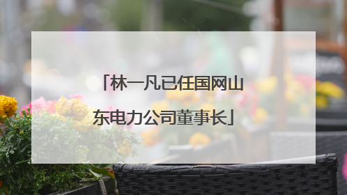林一凡已任国网山东电力公司董事长