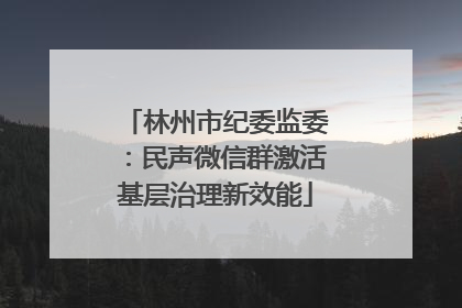 林州市纪委监委：民声微信群激活基层治理新效能