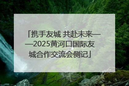 携手友城 共赴未来——2025黄河口国际友城合作交流会侧记
