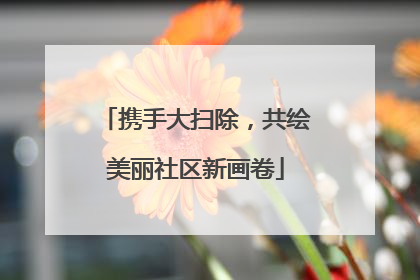 携手大扫除，共绘美丽社区新画卷