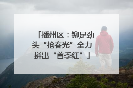 播州区：铆足劲头“抢春光”全力拼出“首季红”