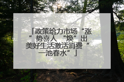 政策给力市场“涨”势喜人 “焕”出美好生活激活消费“一池春水”