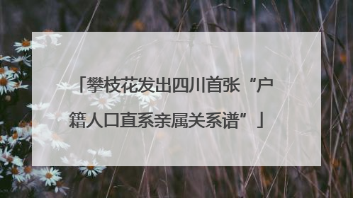 攀枝花发出四川首张“户籍人口直系亲属关系谱”