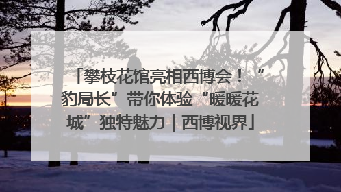 攀枝花馆亮相西博会！“豹局长”带你体验“暖暖花城”独特魅力｜西博视界