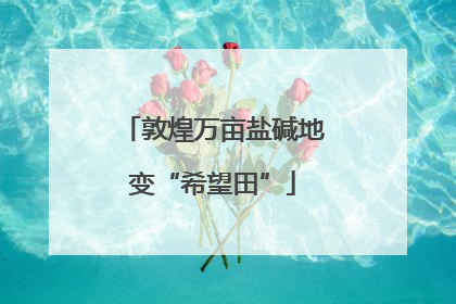 敦煌万亩盐碱地变“希望田”