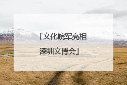 文化皖军亮相深圳文博会