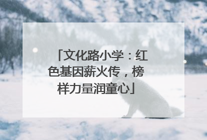文化路小学：红色基因薪火传，榜样力量润童心