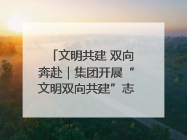 文明共建 双向奔赴｜集团开展“文明双向共建”志愿服务活动