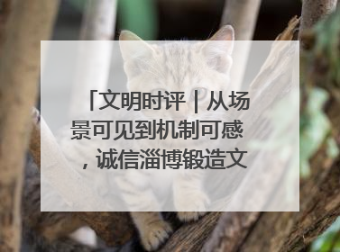 文明时评｜从场景可见到机制可感，诚信淄博锻造文明新内核