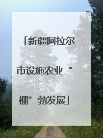 新疆阿拉尔市设施农业“棚”勃发展