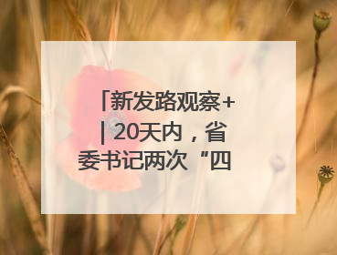 新发路观察+｜20天内，省委书记两次“四不两直”暗访，有何深意？