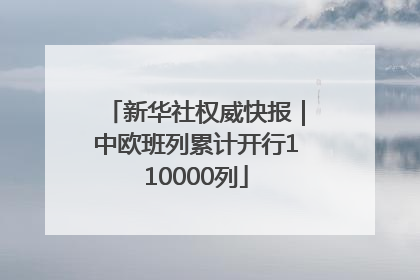 新华社权威快报｜中欧班列累计开行110000列