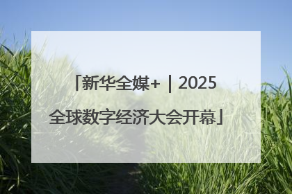 新华全媒+｜2025全球数字经济大会开幕