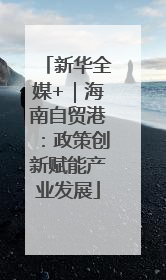 新华全媒+｜海南自贸港：政策创新赋能产业发展