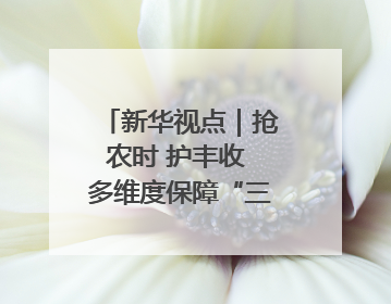 新华视点｜抢农时 护丰收 多维度保障“三夏”生产