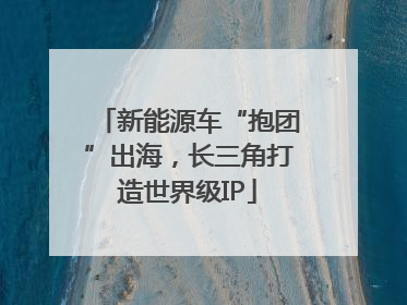 新能源车“抱团”出海，长三角打造世界级IP